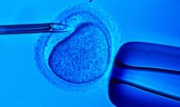 Ενδομητρική σπερματέγχυση ή  κατευθείαν εξωσωματική γονιμοποίηση;