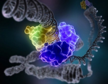 Νέες λειτουργίες του ανθρώπινου DNA ανακάλυψαν οι επιστήμονες