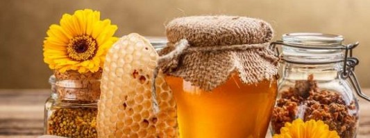 Το μέλι Ολύμπου δρα ενάντια στα βακτήρια;