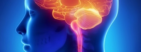 Ο γυναικείος εγκέφαλος αυξομειώνεται κατά τον κύκλο της εμμηνόρροιας