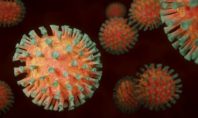 Ματίνα Παγώνη: Πόσο επικίνδυνος θα είναι ο νέος ιός Χ